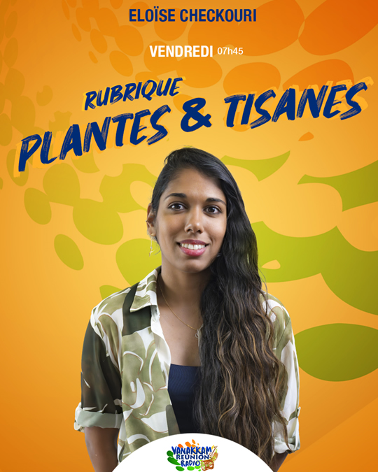 Plantes et Tisanes