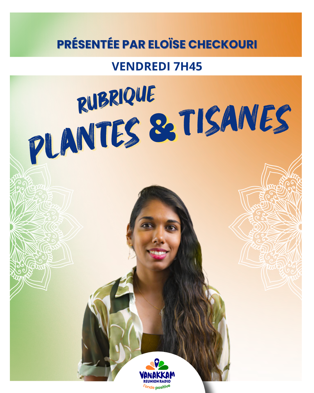 Plantes et Tisanes